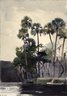 Homosassa River