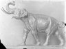 Brooklyn Museum: Elephant, or The Call
