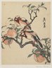 Pomegranates and Birds