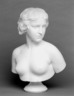 Brooklyn Museum: The White Captive