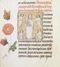 Horae Beatae Mariae Virginis