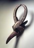 Mask Combining Bird and Buffalo Features