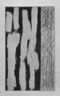 [Untitled]