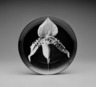 Plate, "Orchid"