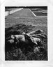 Brooklyn Museum: Headless Statue
