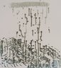 Raindrops