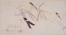 Brooklyn Museum: Ledger Book Drawing