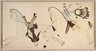 Ledger Book Drawing