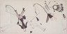 Brooklyn Museum: Ledger Book Drawing