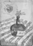 Brown Bottle
