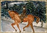 Rider in Central Park