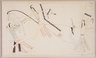 Ledger Book Drawing
