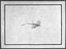 [Untitled]
