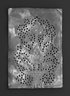 Panel with design of Flowering Plant in Vase, No. 30