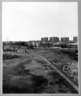 Graves, Queens