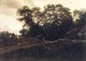 Brooklyn Museum: The Edge of the Forest