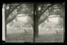 Bergen House, Willows and Ralph, Bergen Beach, Flatlands, Brooklyn