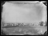 From Mountain, Looking East, Prospect Park, Brooklyn