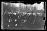 Skating, Prospect Park, Brooklyn