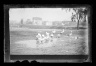 Geese, 4th Avenue, Brooklyn