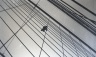On Bridge (Painter), Brooklyn, NY