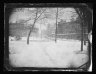 Borough Hall Park, Brooklyn