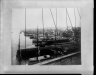 [Untitled]