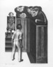 The Trial
