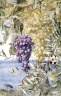 Brooklyn Museum: Grapes and Olives