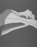 Night I: William Dunas Dance II