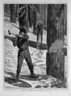 Lumbering in Winter