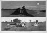 Flirting on the Sea-Shore and on the Meadow