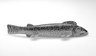 Fish Decoy, Brook Trout