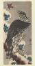 Hawk on a Snowy Pine Branch