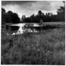 Pond