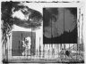 [Untitled]