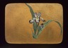 Small Card Decorated with Iris