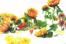 [Untitled]