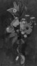 Floral Still Life