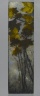 Autumn Foliage
