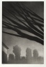 Branches, Millerton
