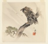 Eagle on a Branch in the Wind