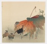 Insects on Autumn Leaves