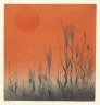 Rice at Sunset