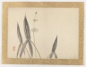 [Untitled] (Flower Subject)