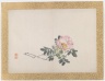 [Untitled] (Pink Rose)