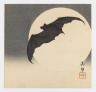 Bat Before the Moon
