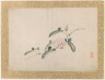 [Untitled] (Light Pink Morning Glory Flower)