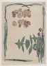 Cherry Blossoms with Pine Needle Border