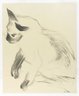 Siamese Cat